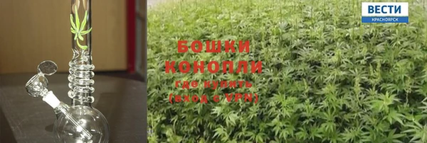 крисы Балабаново