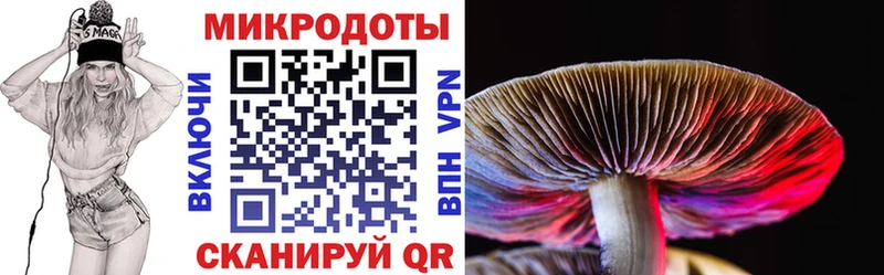 Галлюциногенные грибы мухоморы  гидра ссылки  Спасск-Дальний  купить  